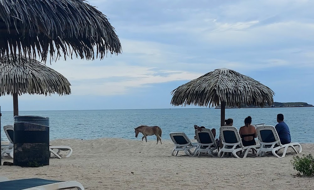 Playa Farallón (Farallon Beach)