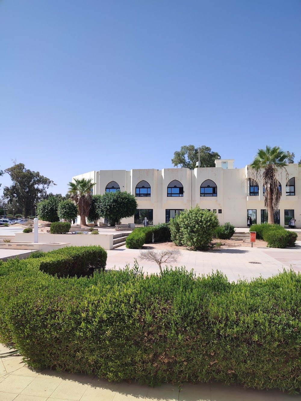 جامعة سرت (Sirte University)