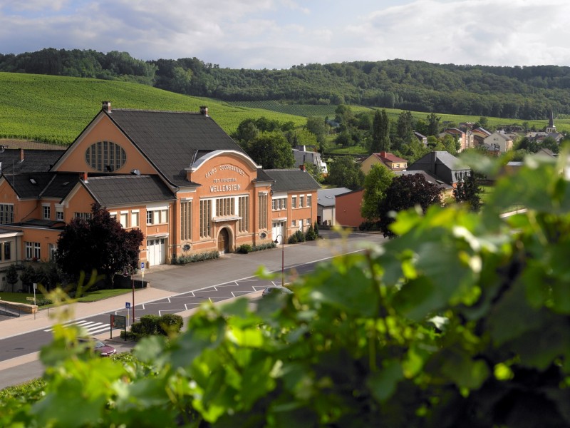 Sentier Viticole de Wellenstein (Wellenstein Vineyard Trail)