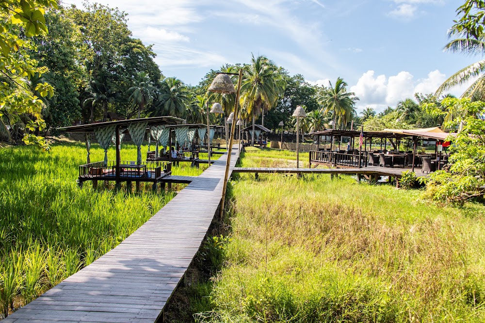 Laman Padi Langkawi (Laman Padi Langkawi)