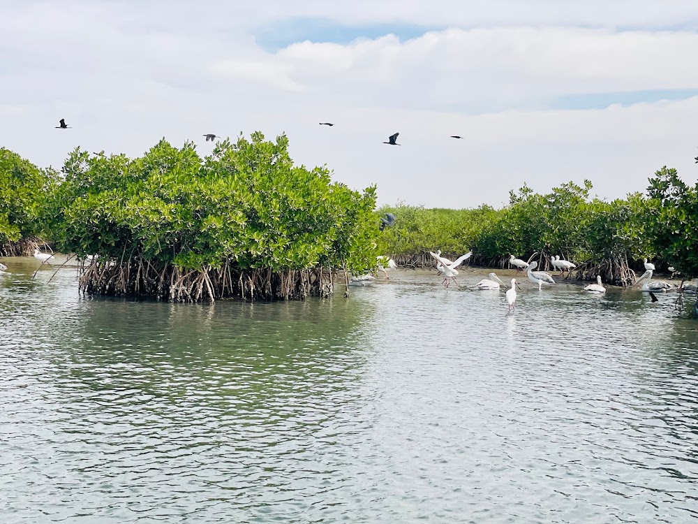 Delta du Sine-Saloum (Sine-Saloum Delta)