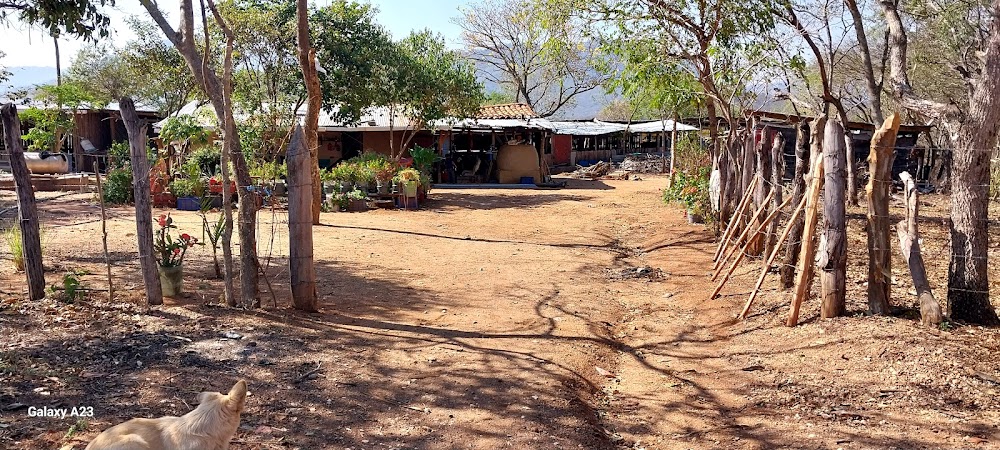 Centro Cultural Mosonte (Mosonte Cultural Center)