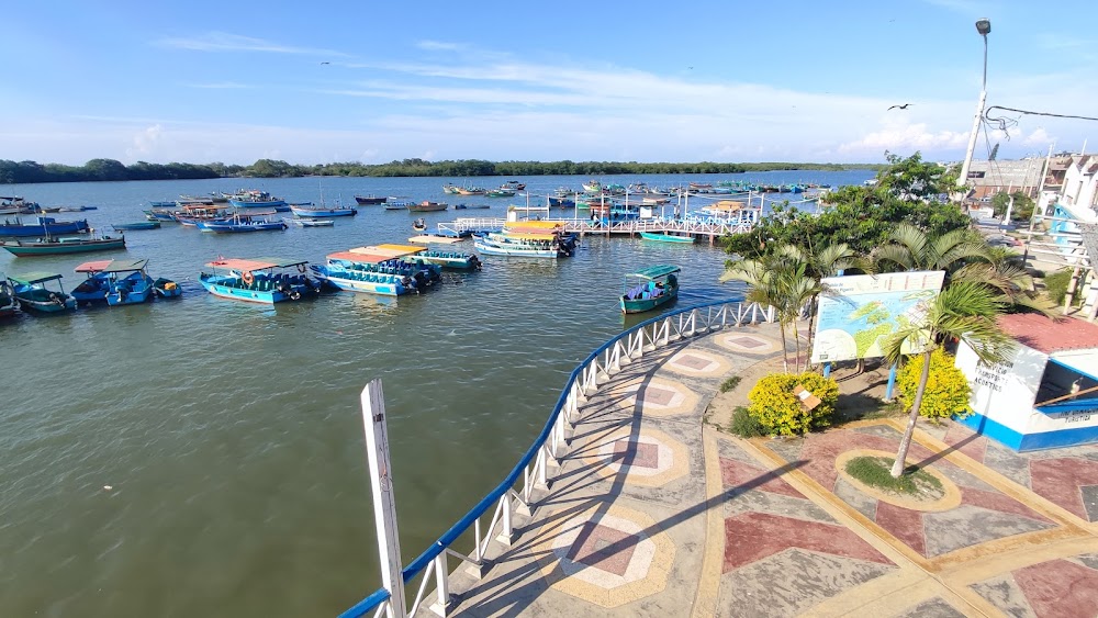 Manglares de Puerto Pizarro (Puerto Pizarro Mangroves)