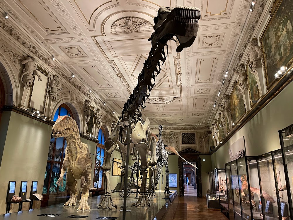 Naturhistorisches Museum (Natural History Museum)