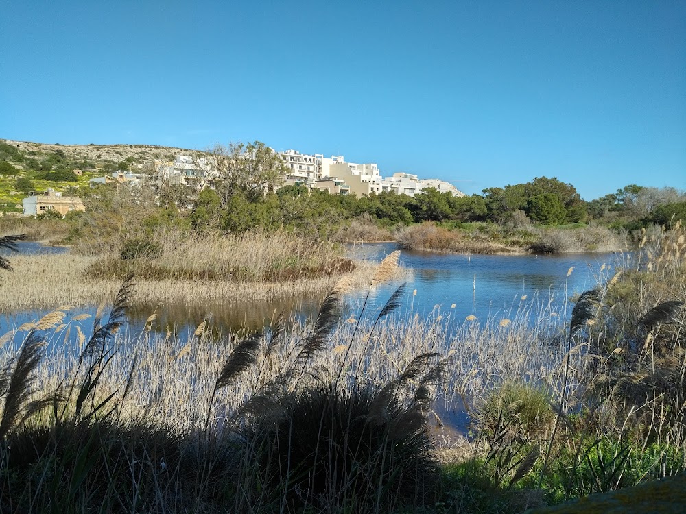 Riserva Naturali tas-Simar (Simar Nature Reserve)