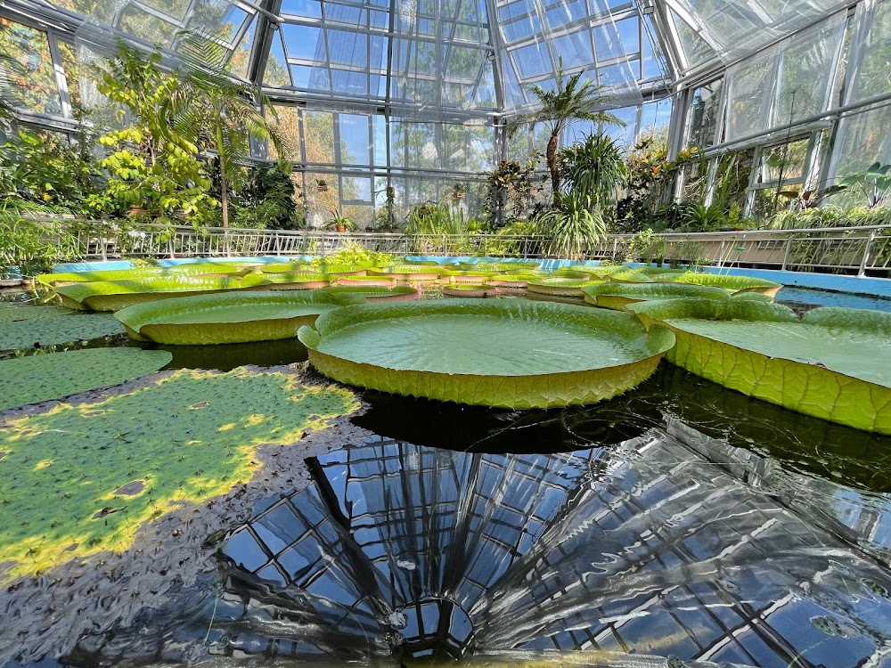 Grădina Botanică (Botanical Garden)