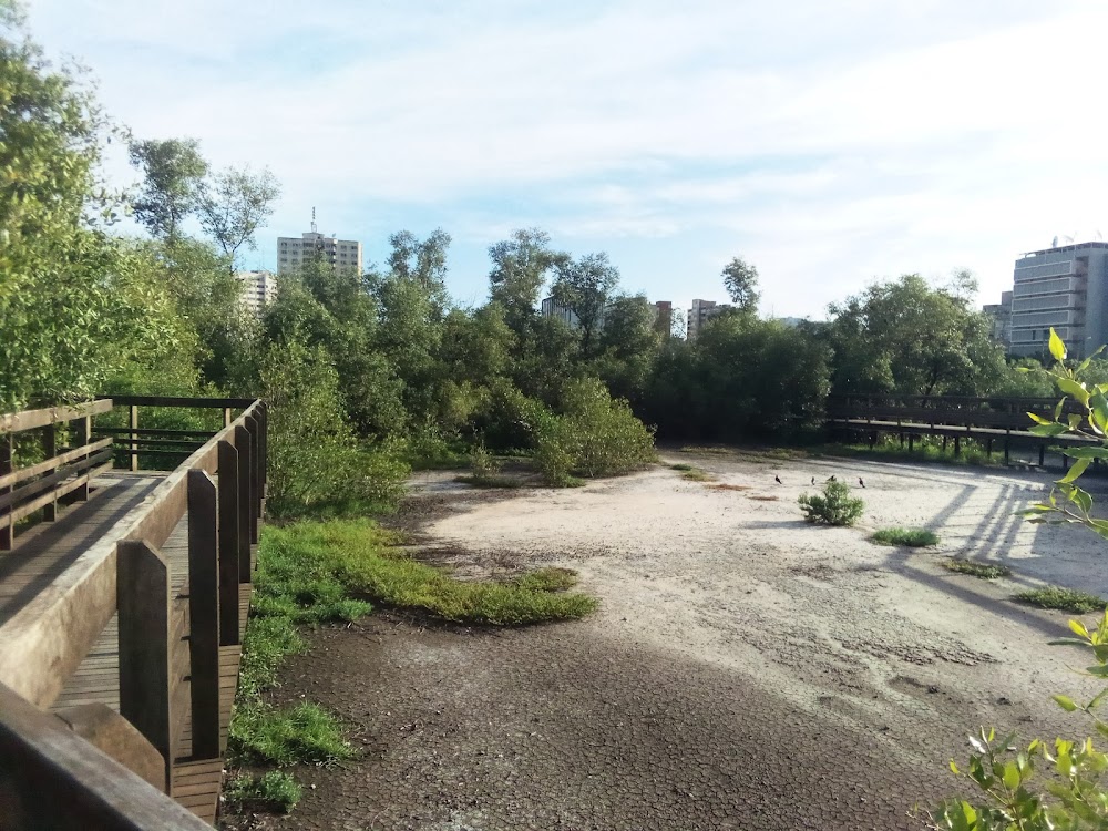 Marginal do Rio Chiveve (Chiveve Riverfront)