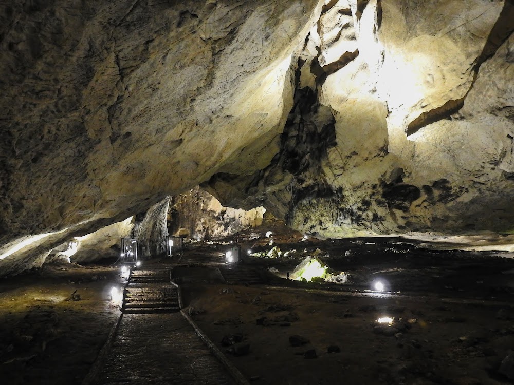 Пећина Магура (Magura Cave)