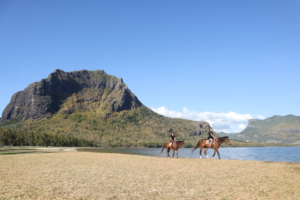 Haras du Morne (Haras du Morne)