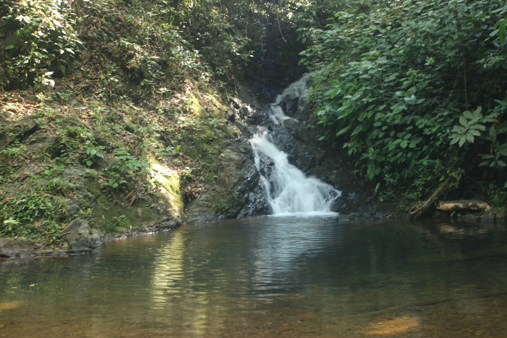 Reserva Forestal El Montuoso (Reserva Forestal El Montuoso)