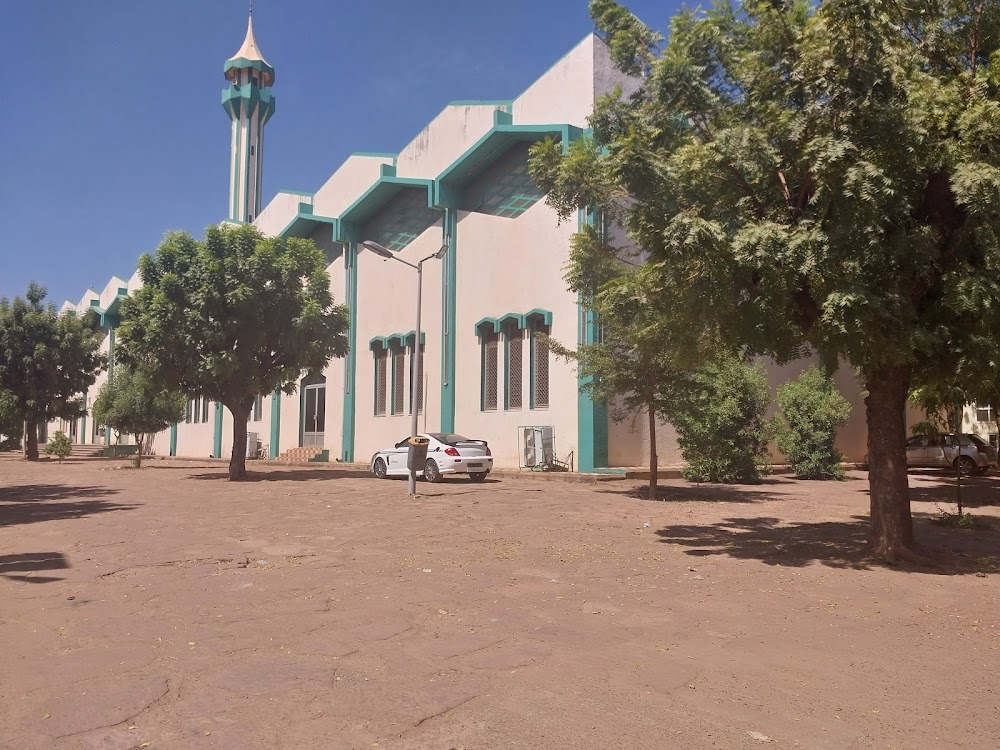 Mosquée Grande de Bamako (Bamako Grand Mosque)