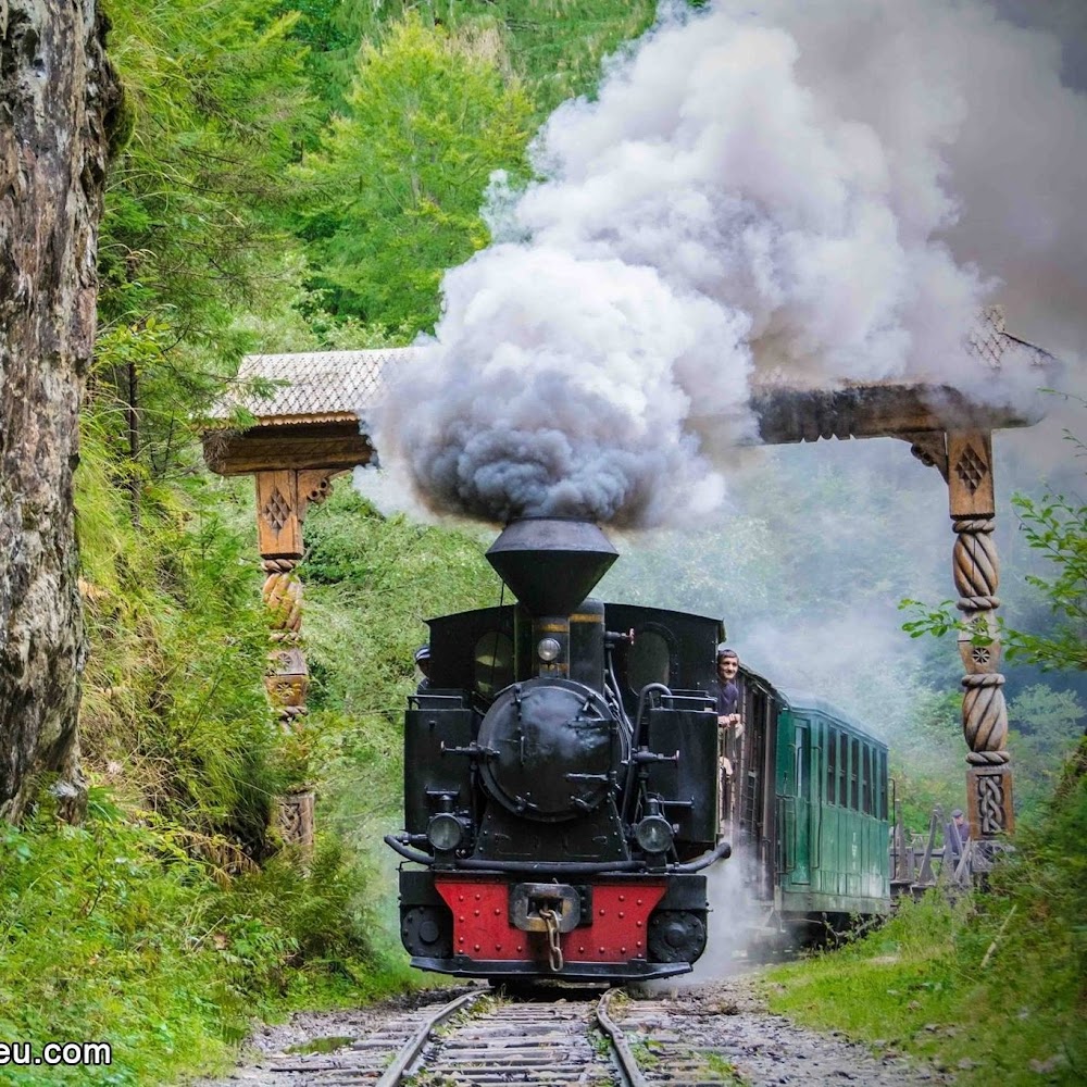 Mocănița (Mocănița Steam Train)