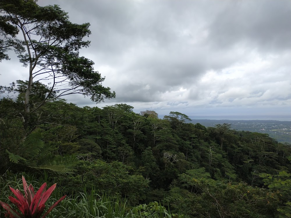 Leulumoega Nature Reserve