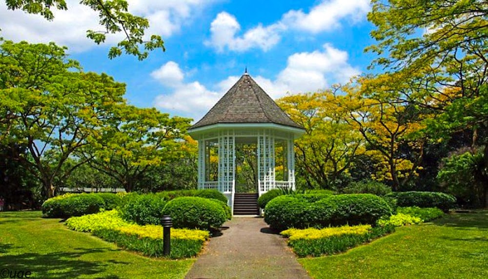 新加坡植物园 (Singapore Botanic Gardens)