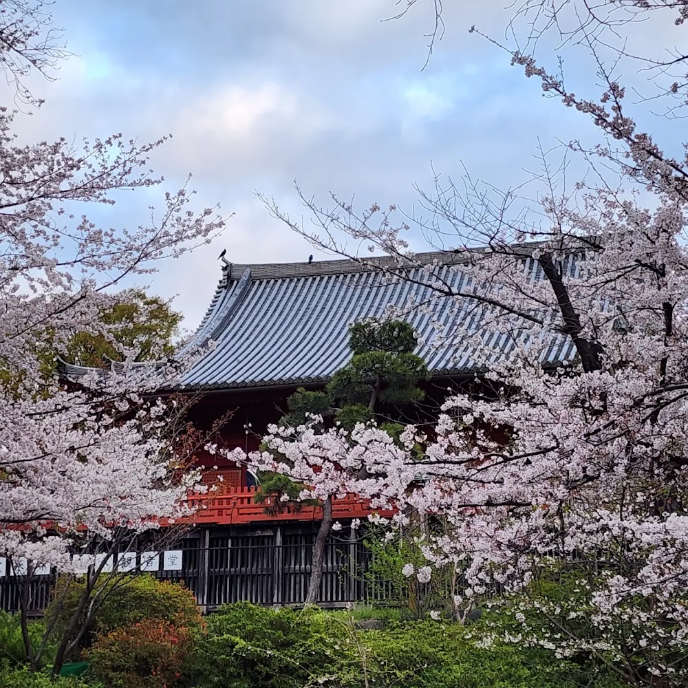 上野公園 (Ueno Park)