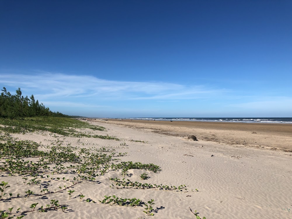 Praia de Zalala (Zalala Beach)