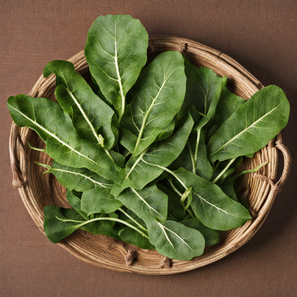 Sweet Potato Leaves