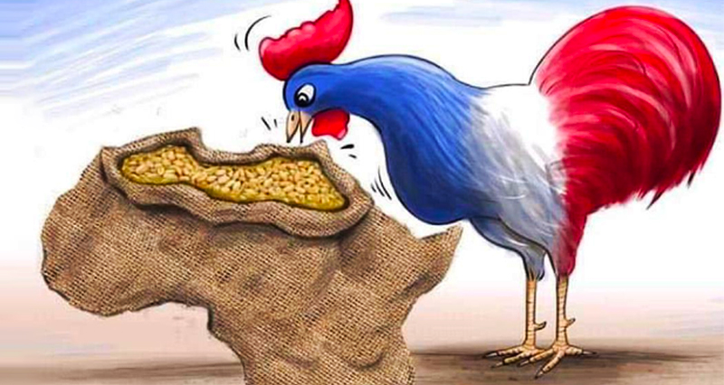 African investors Shouldn't Overlook Francophone Africa