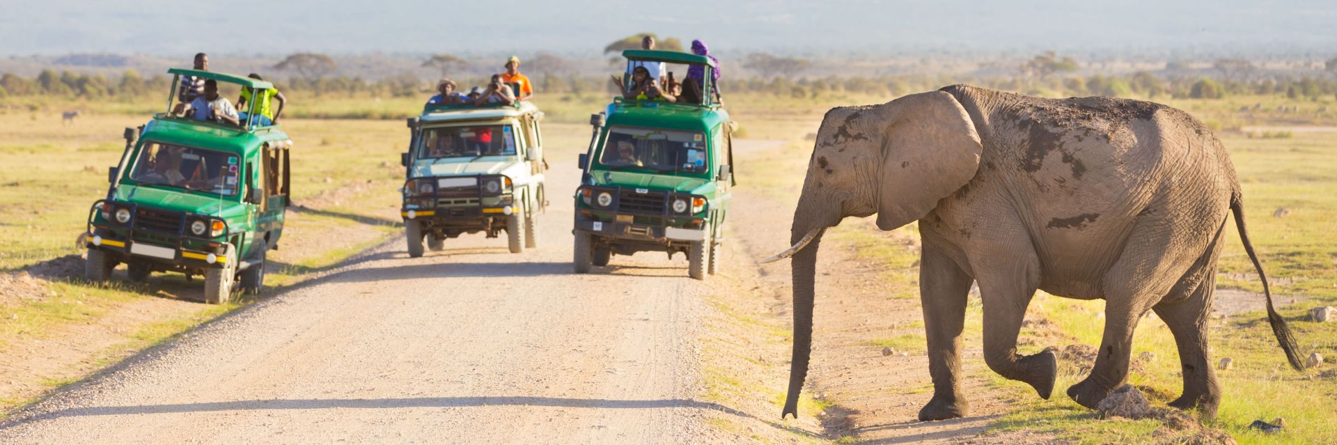 Addressing youth unemployment in Africa through industries without smokestacks: A synthesis on prospects, constraints, and policies