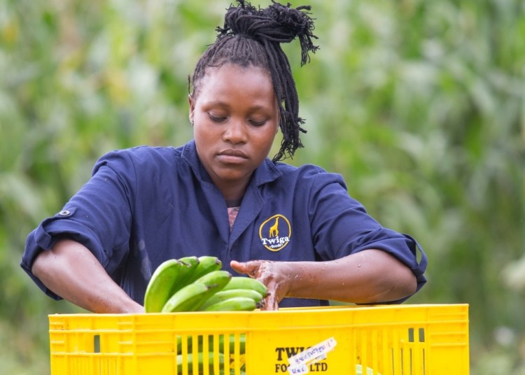 Kenya’s Twiga raises $50M to scale food solutions across Africa