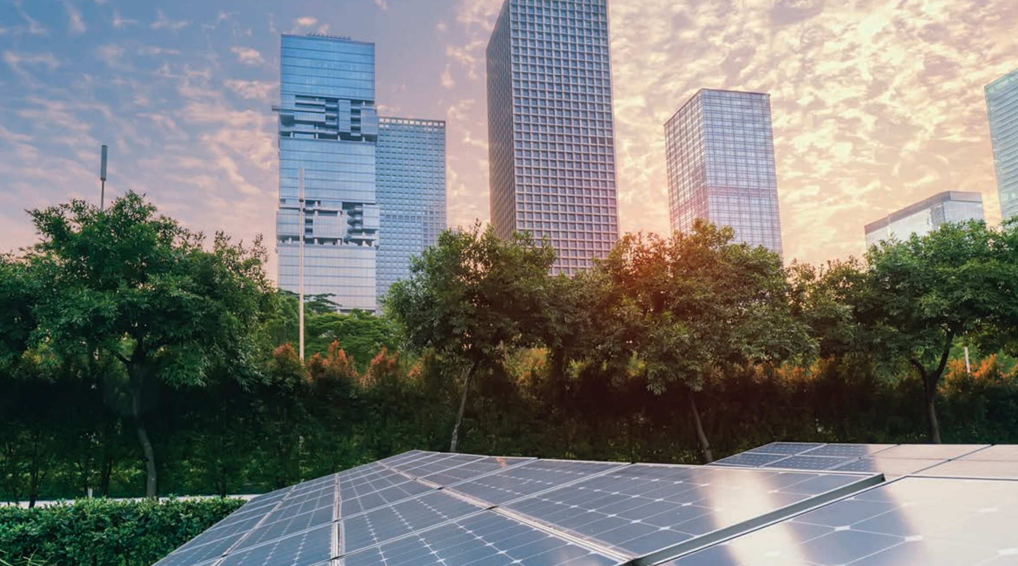 Future-fit cities: From shared values to climate action