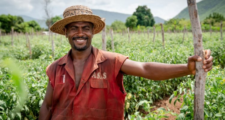 Kenyan, Rwandan startups invited to apply for African Food Fellowship