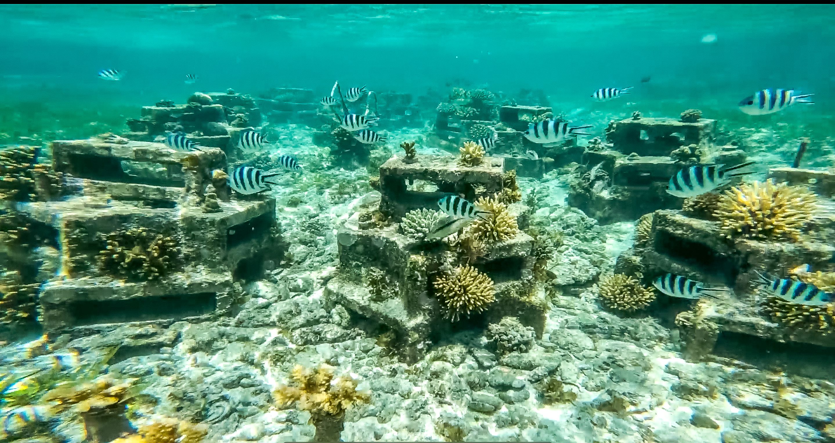 "Blue Wall Challenge" finds innovators building Africa's "Blue Economy"