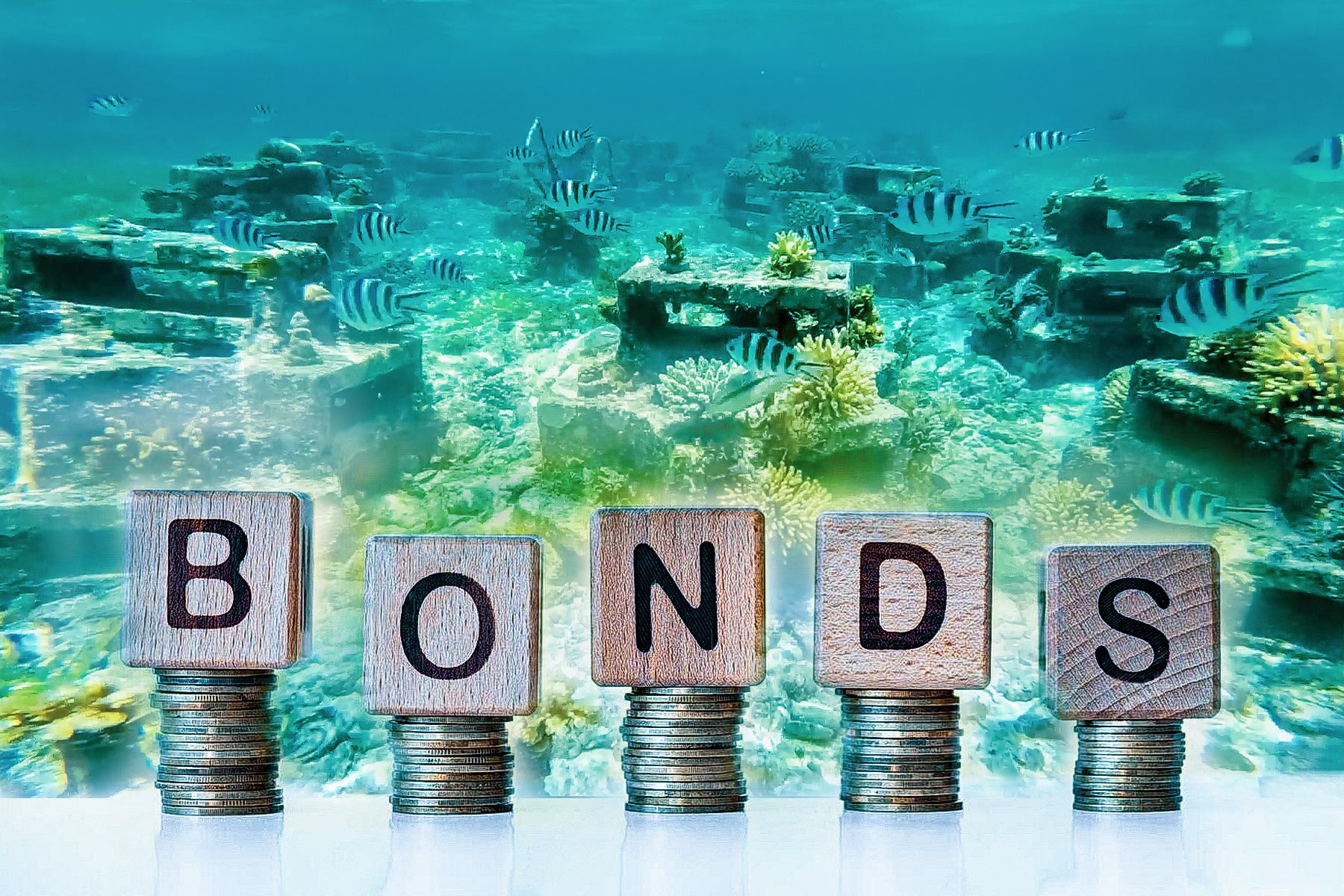 Blue Bonds: Empowering African marine conservation and debt relief