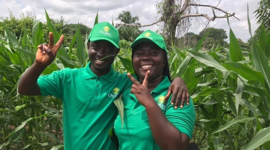 Ghanaian agri-tech startup Oyster Agribusiness raises $310k funding to scale 🇬🇭