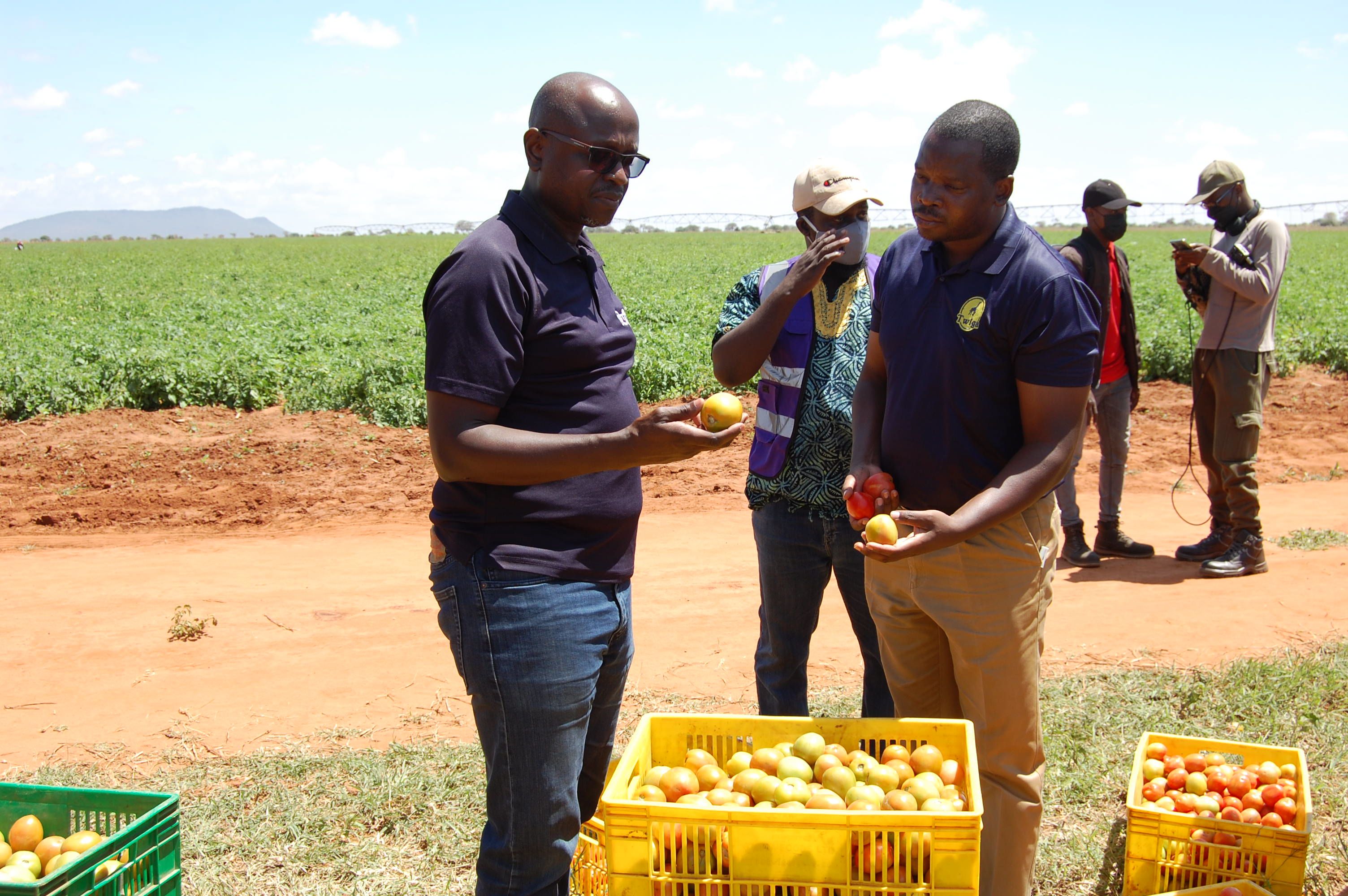 Twiga lays off 33% of its staff, disbands in-house delivery and introduces logistics marketplace