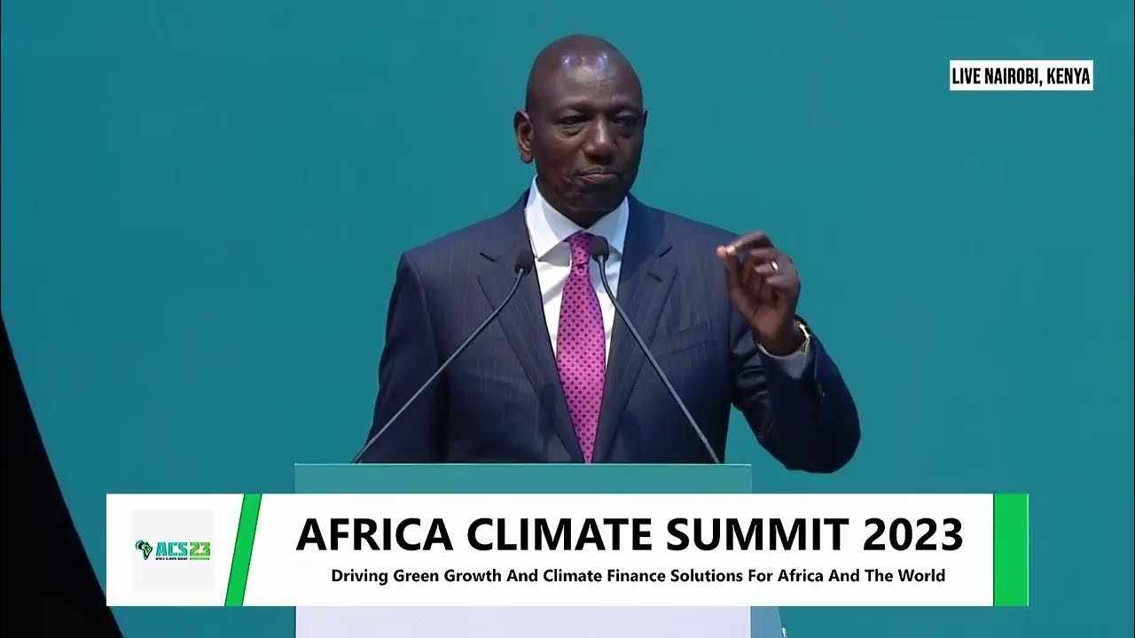 Targeting a US$2 billion African carbon market with common trade rules