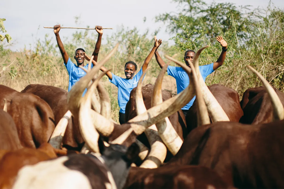 Ugandan Startup Emata Raises $2.4 Million to Revolutionize Agriculture with Affordable Loans 🇺🇬
