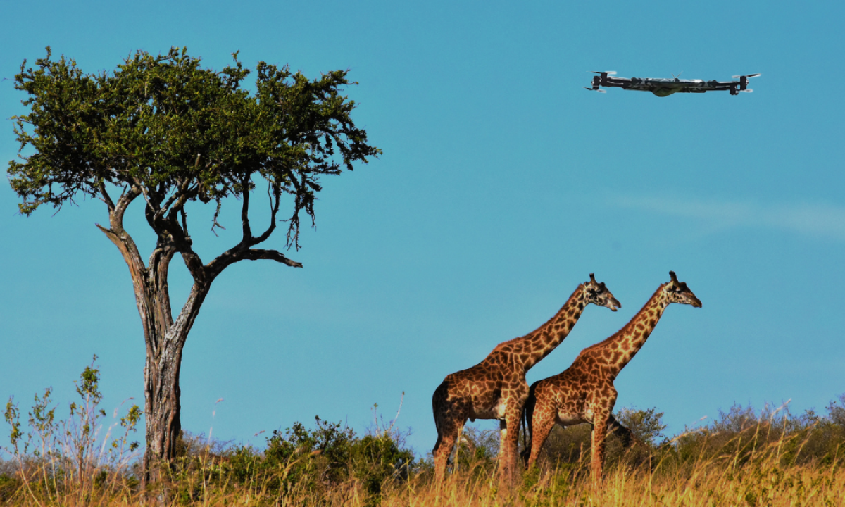 Malawi looks to drones to protect its wildlife 🇲🇼