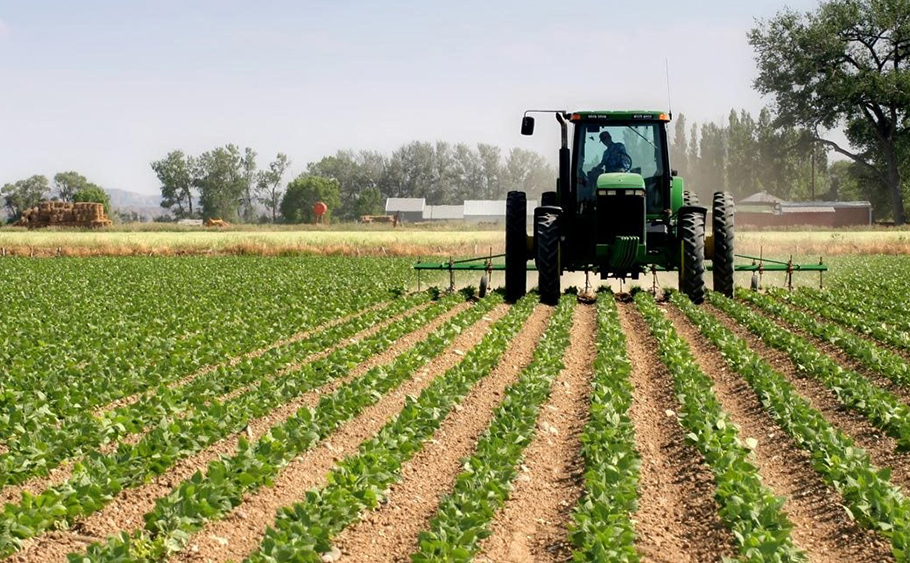 Empowering Senegalese Women Farmers: UfarmX and Africa GreenTec Join Forces to Tackle Climate Challenges