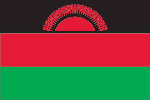 Unlocking Potential: Malawi's Emerging Tech Ecosystem Gains Momentum 🇲🇼💡🚀 