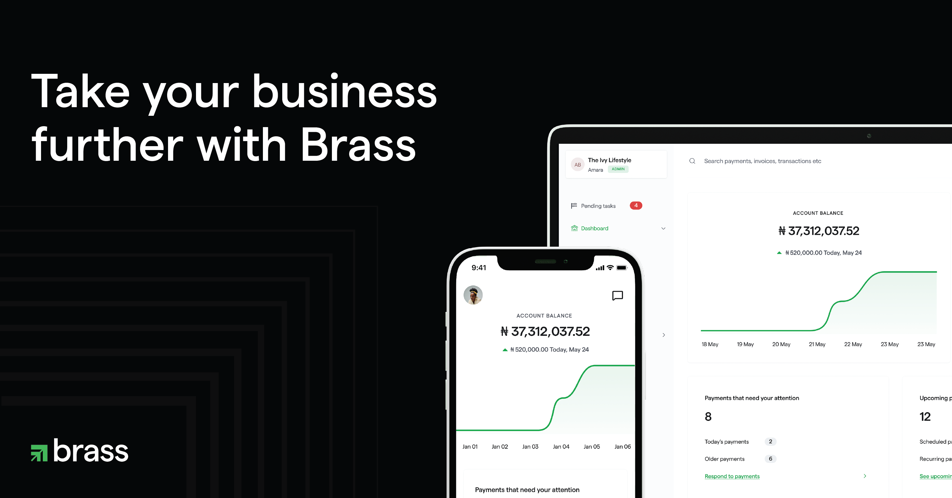 Brass Resolves Transaction Delays: Nigerian Fintech Back on Track 🔄💳