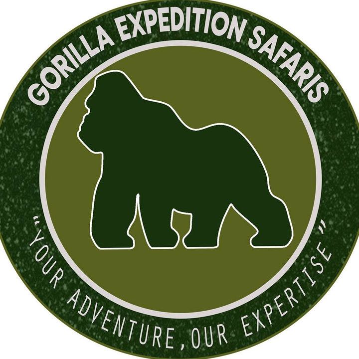 Gorilla Expedition Safaris