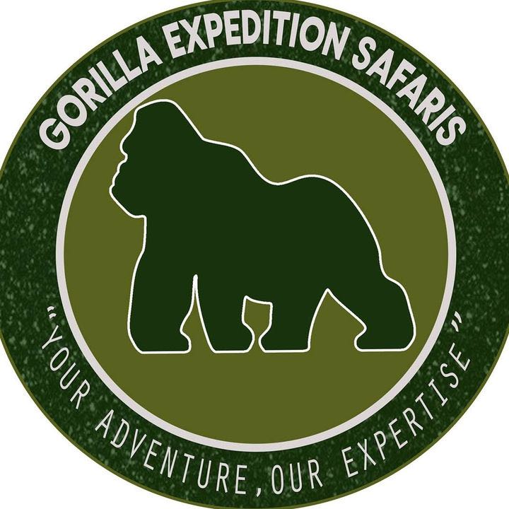 Gorilla Expedition Safari