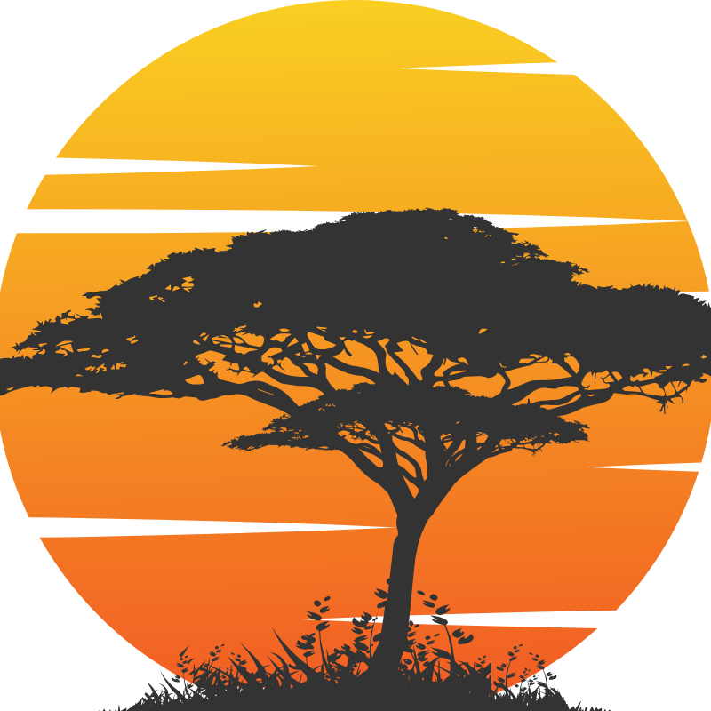 RWANDA ECO COMPANY & SAFARIS