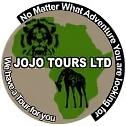 JOJO TOURS LTD
