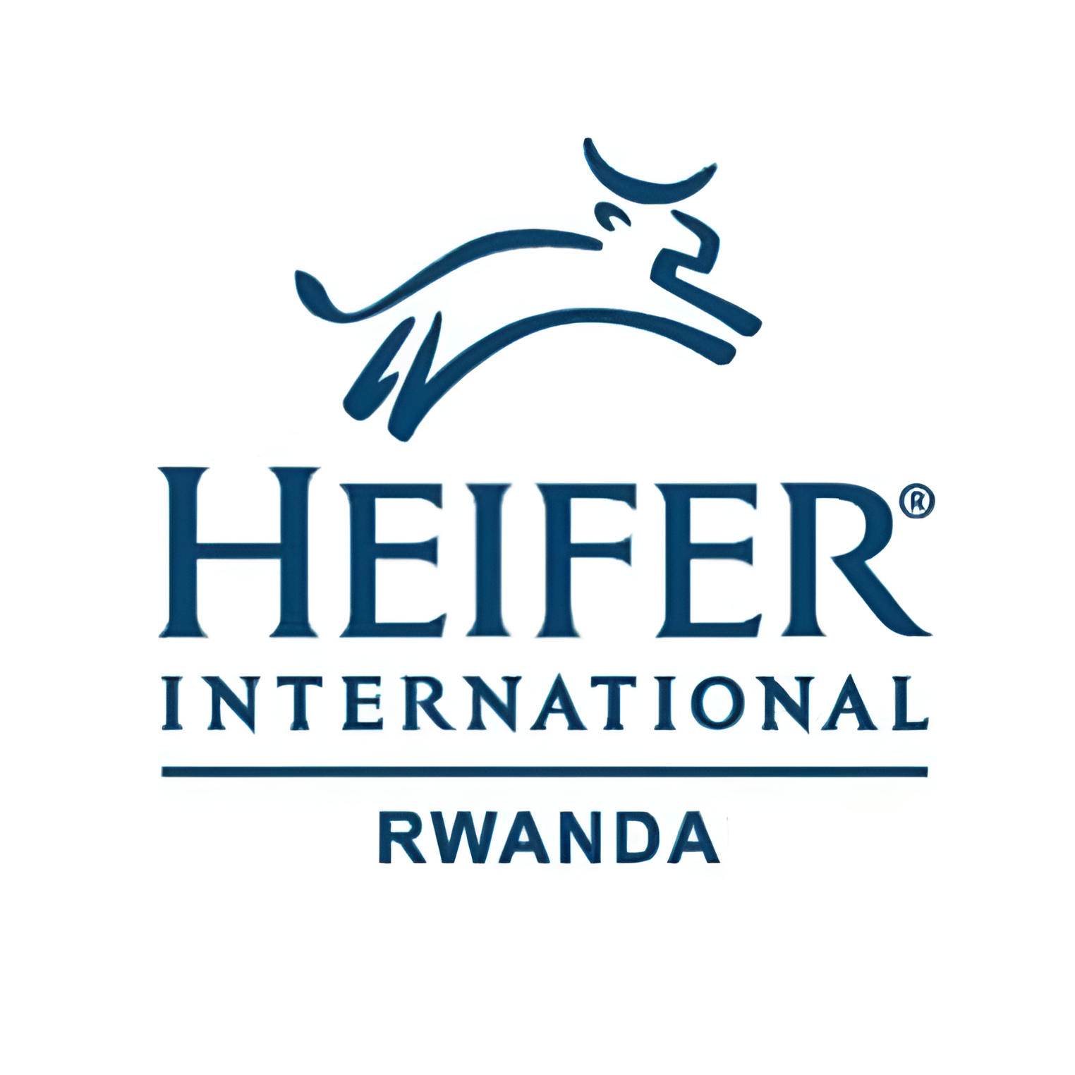 HEIFER INTERNATIONAL RWANDA