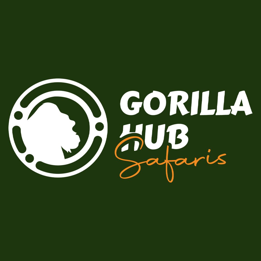 GORILLA HUB SAFARIS