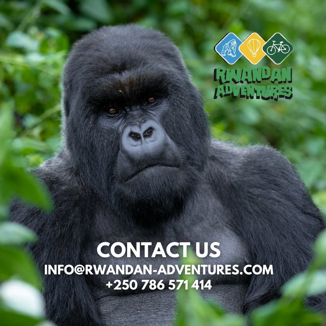 RWANDA ADVENTURES 
