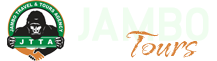 JAMBO TOURS