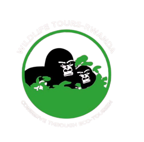 WILDLIFE TOURS