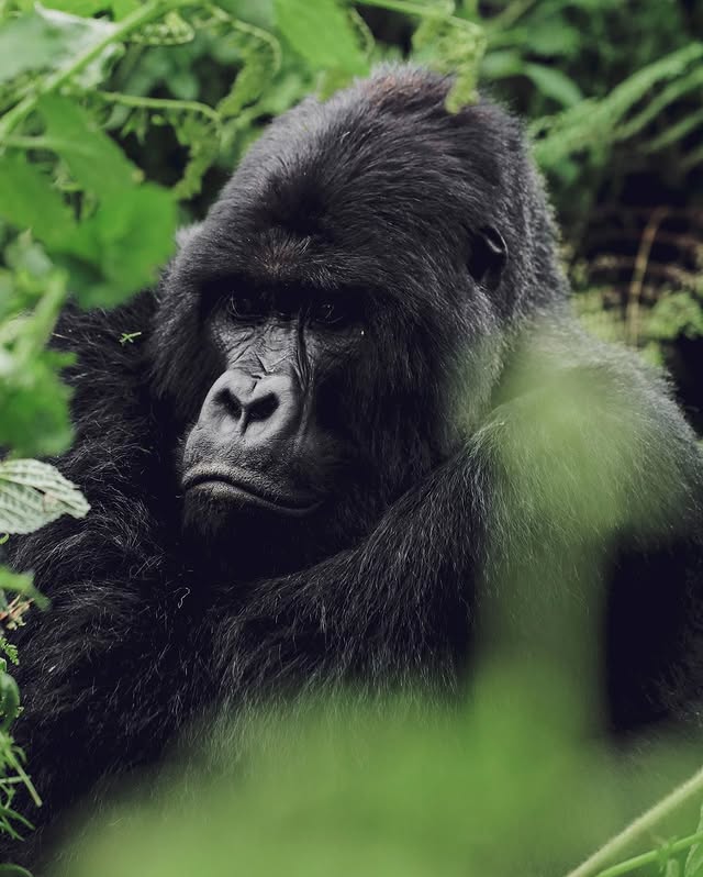 SAMBORA PRIVATE JOURNEYS