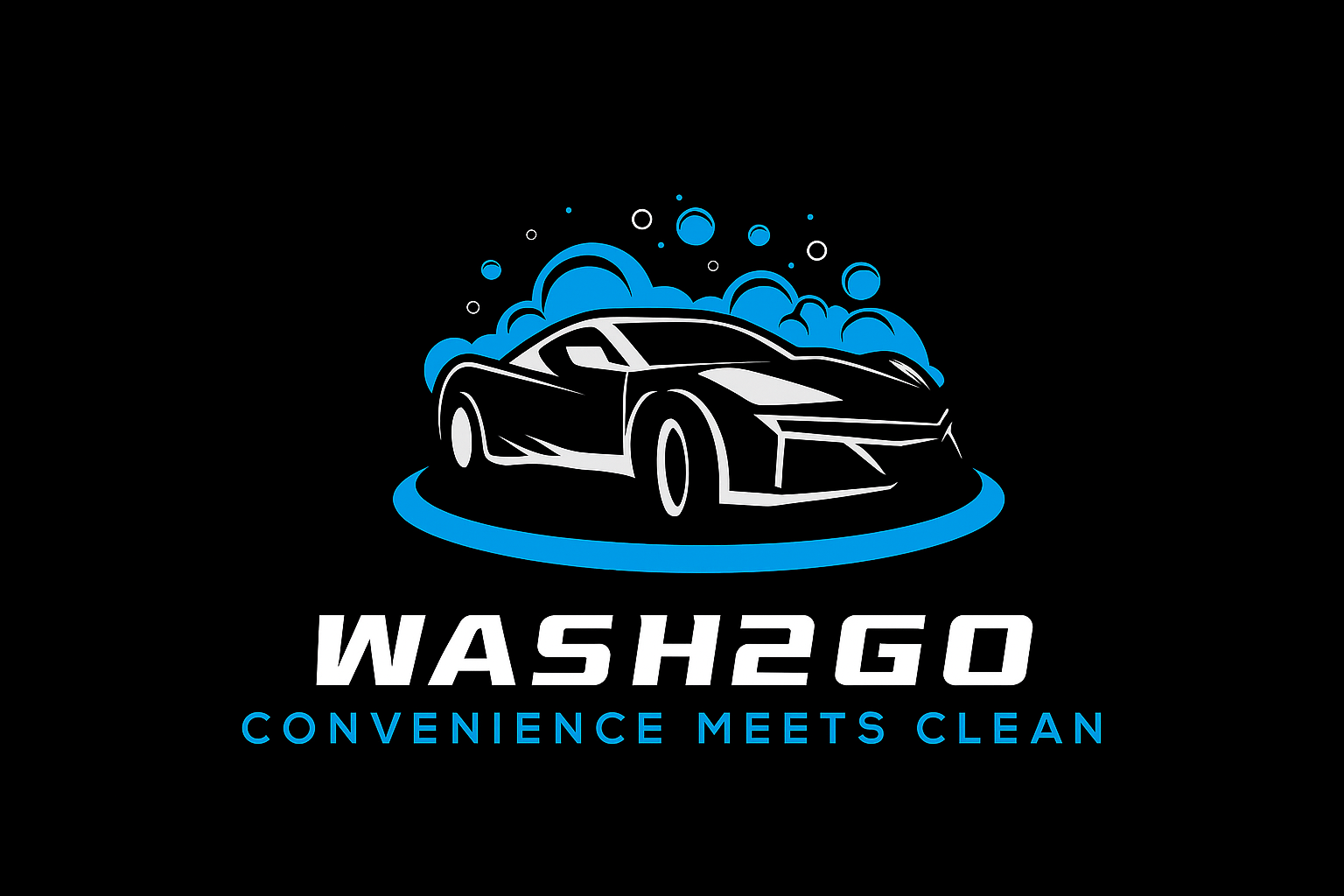 Wash2Go Detailer