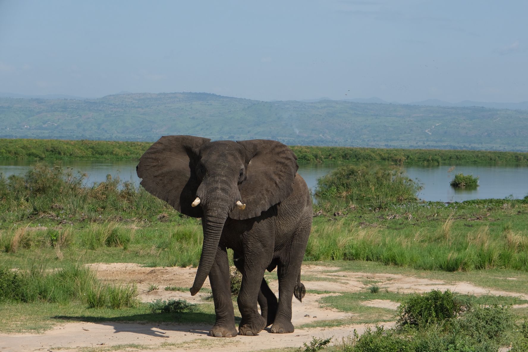 UBUMWE TOURS AND TRAVEL (U) LTD.