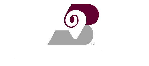 Bighorn Airways, Inc. logo