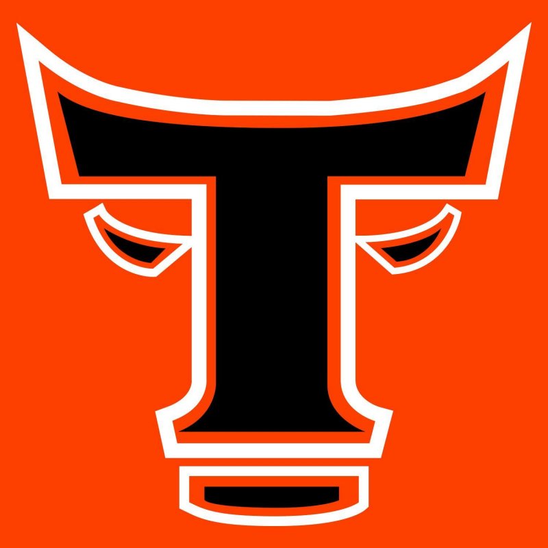 Toros del Este
